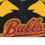Bridgeport-Upper Merion Bulls 12U logo